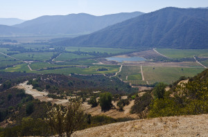 Beautiful view of Casablanca Valley of Chile.